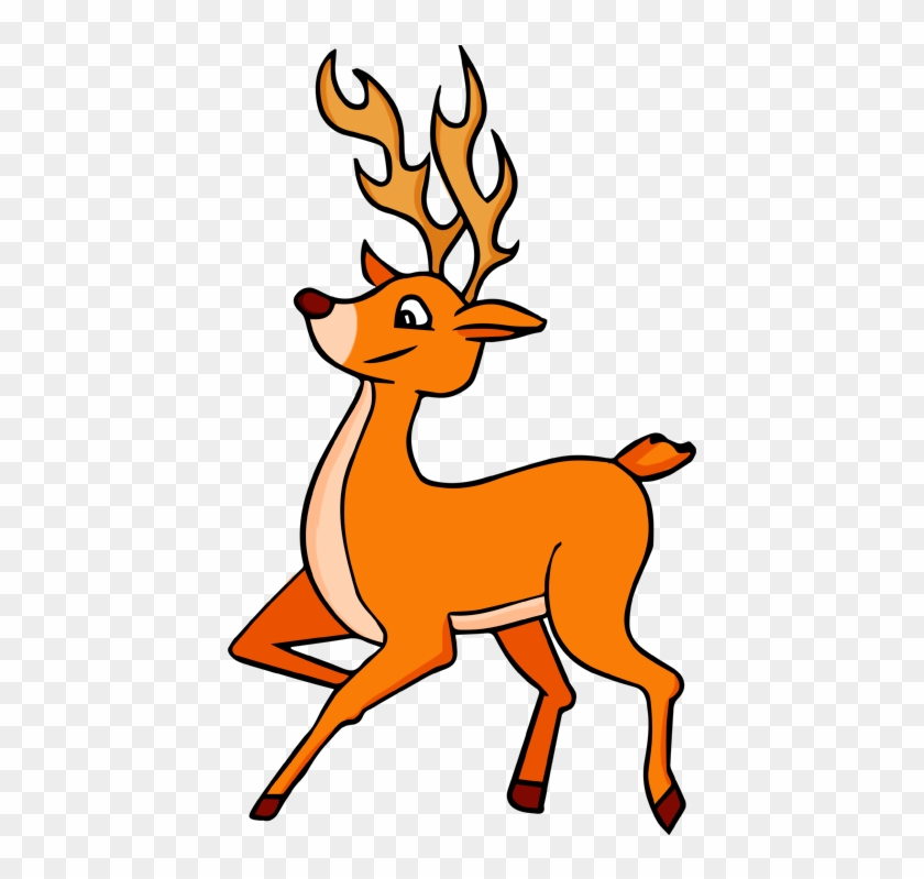 Deer Clip Art Pictures Free Clipart Images - Deer Clipart Png #14480