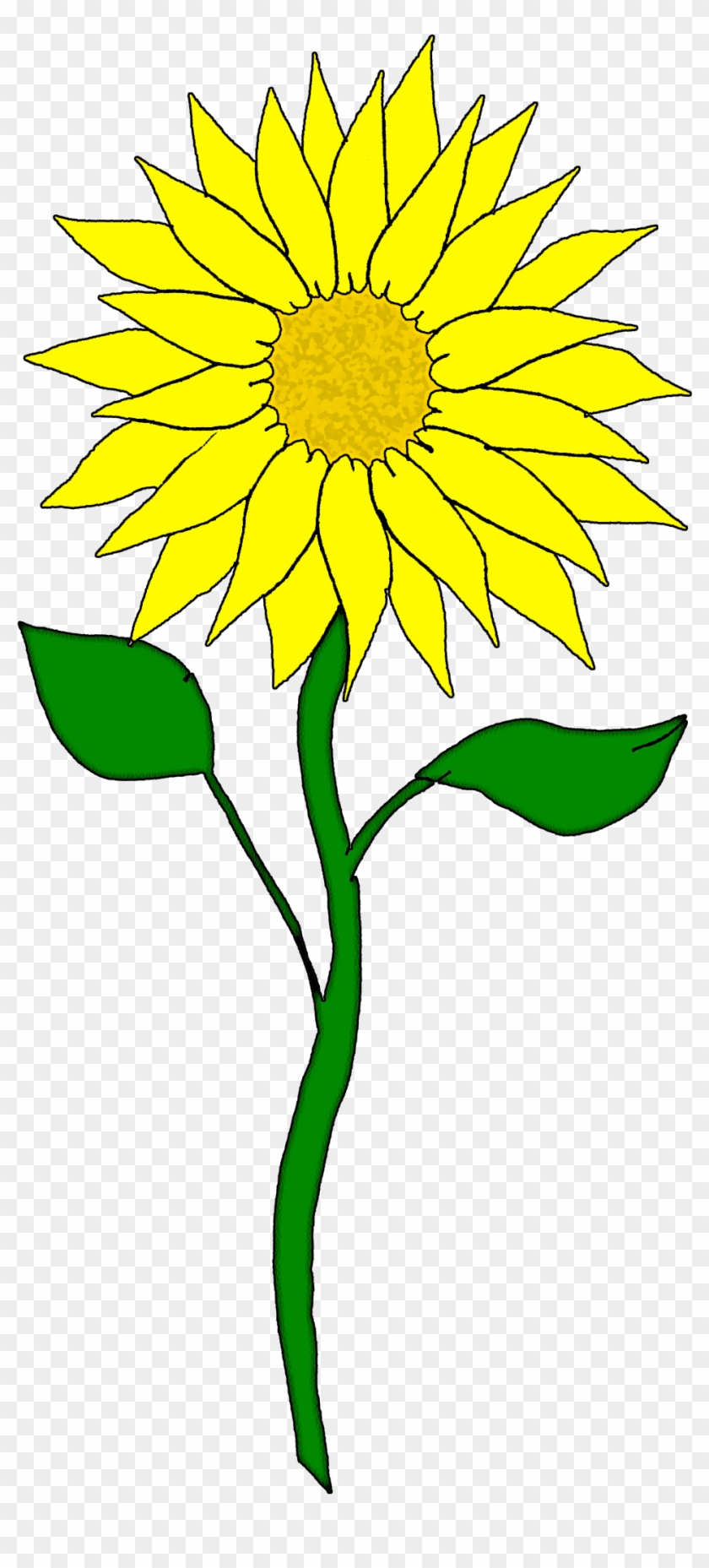 Free Flower Clipart Sunflower Clipart Free Transparent Png Clipart Images Download