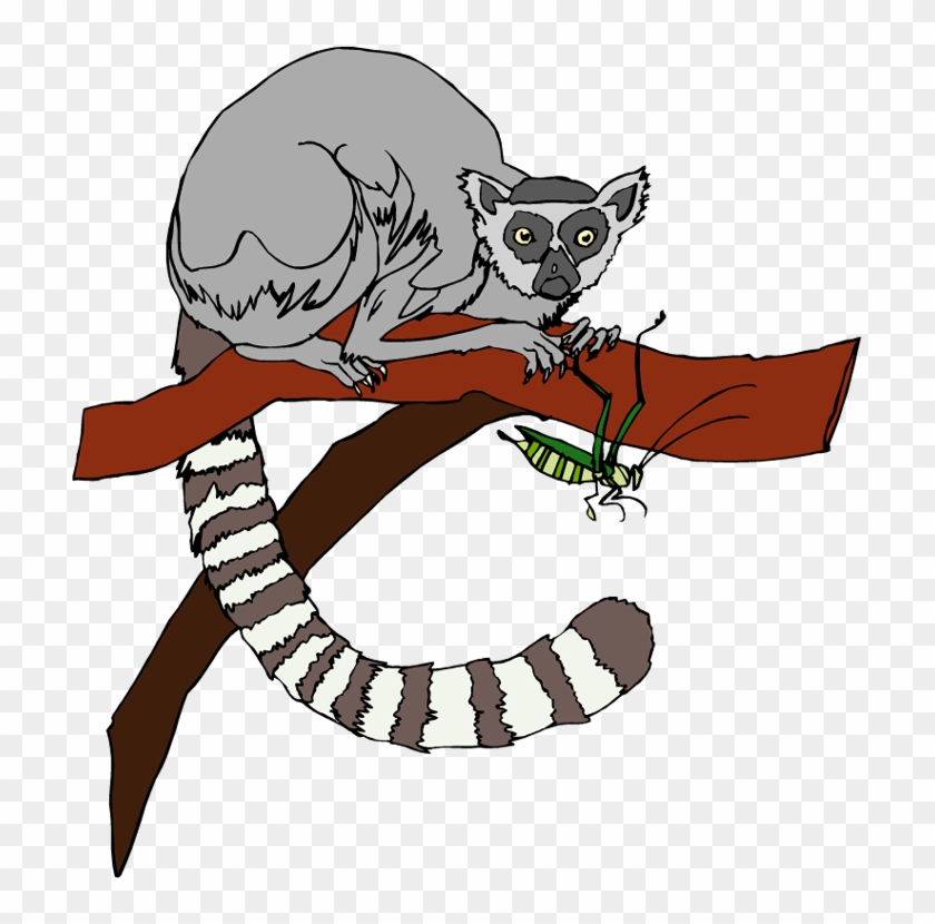 Lemur Clip Art - Clip Art Lemur #14757