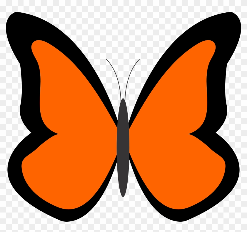 See Here Butterfly Clipart Black And White Outline - Orange Butterfly Clipart #14883