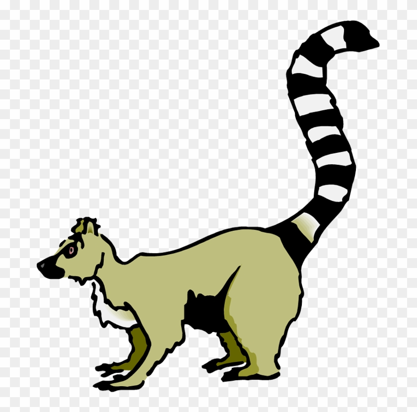 Lemur Clip Art - Lemur Clip Art #14901