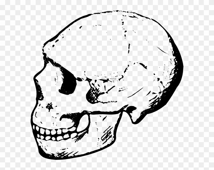 Free Skull Clipart Halloween Clip Art Images And - Skull Bone Clip Art #14919