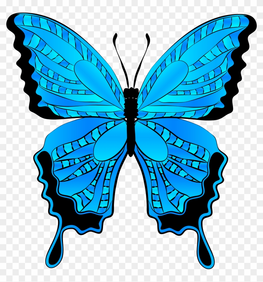 Butterfly Clipart Free Clipart Images - Butterfly Clip Art Blue #14966