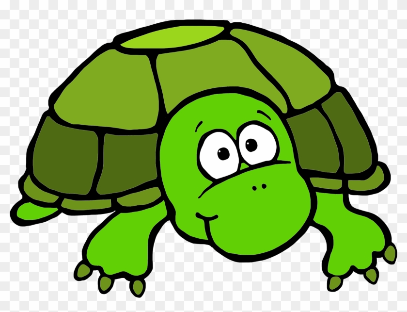 More From My Site - Turtle Clipart Color #15108
