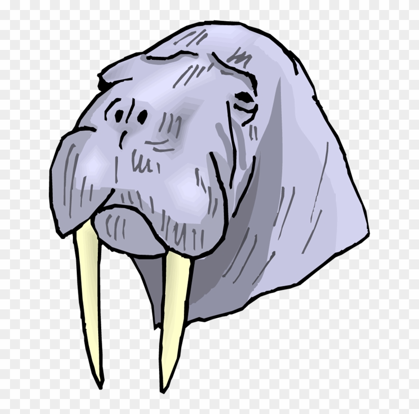 Walrus Clip Art - Walrus Head Png #15389