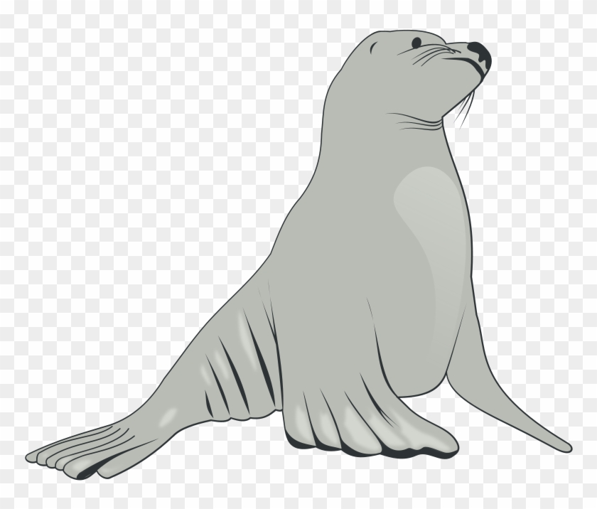 Free To Use Amp Public Domain Sea Lion Clip Art - Sea Lion Clipart #15497