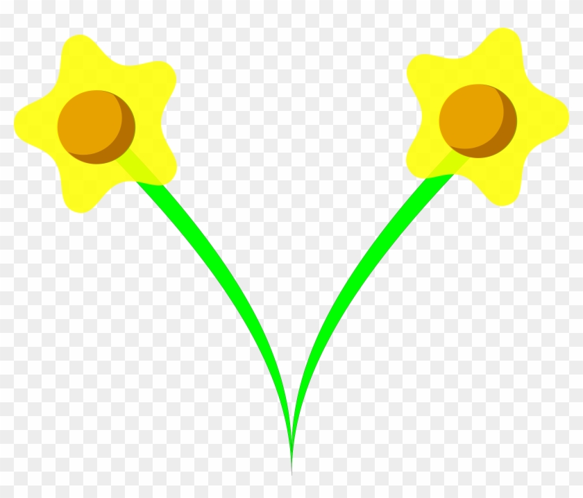 Daffodil Blossom - Daffodil #15507