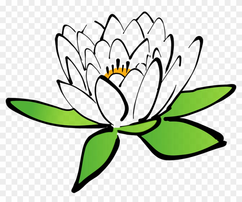 Water Clipart Lotus - Cartoon Flower Transparent Background #15715