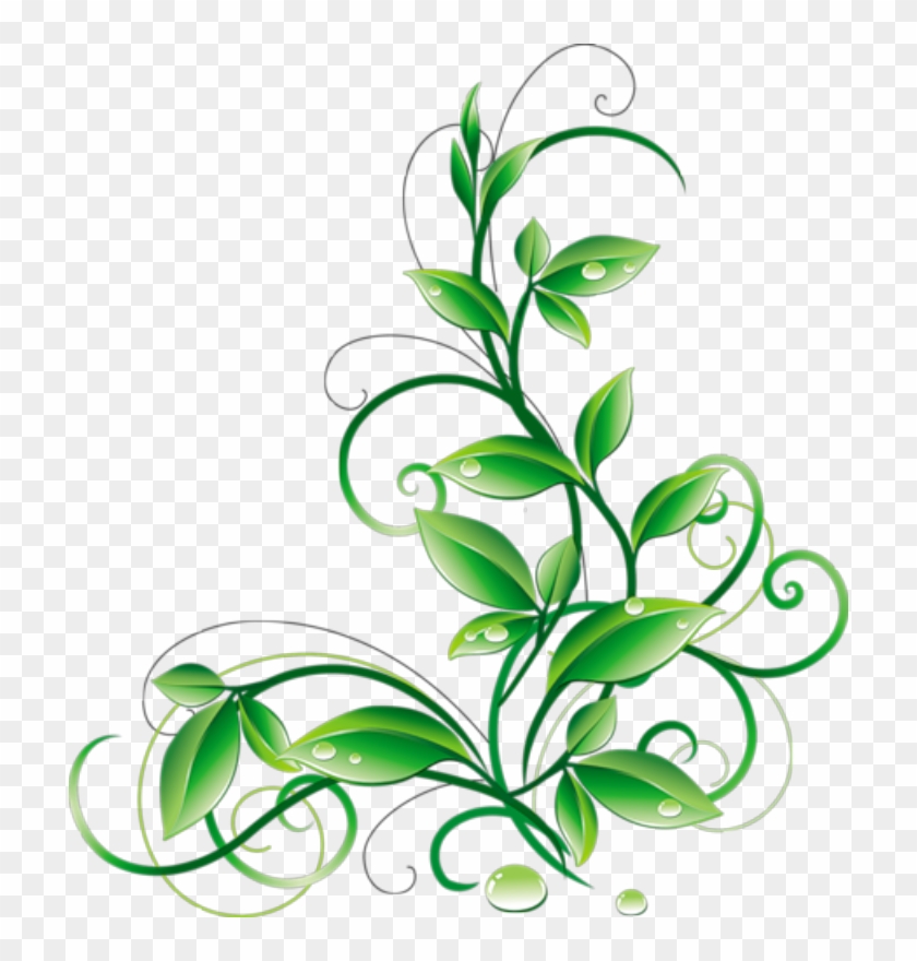 Floral Green Leaves And Water Droplets Png Clipart - Green Corner Border Png #15879