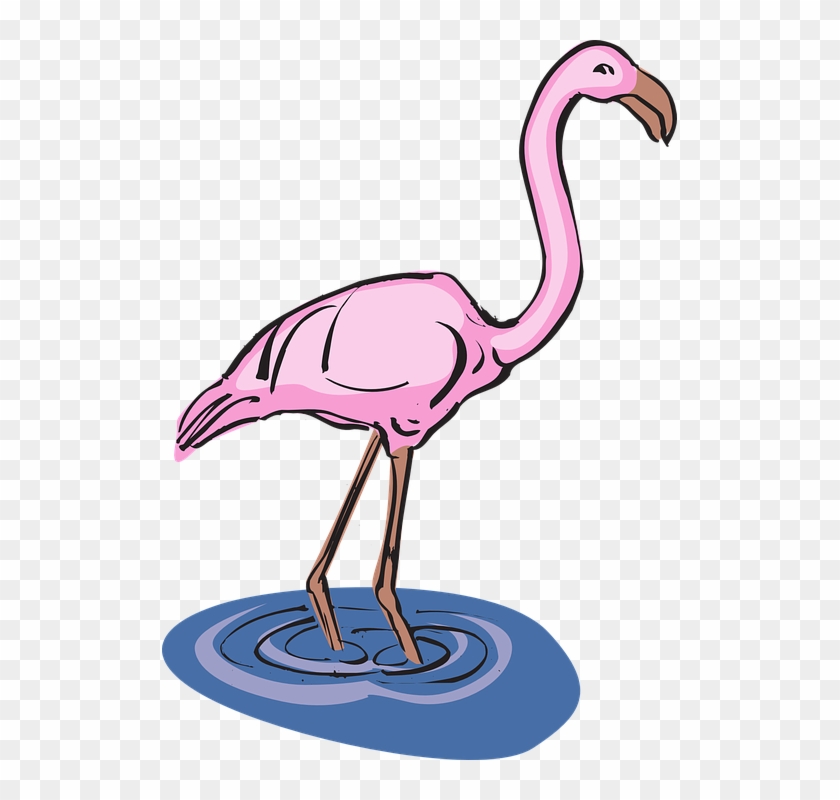 Flamingo In Water Clipart #15891