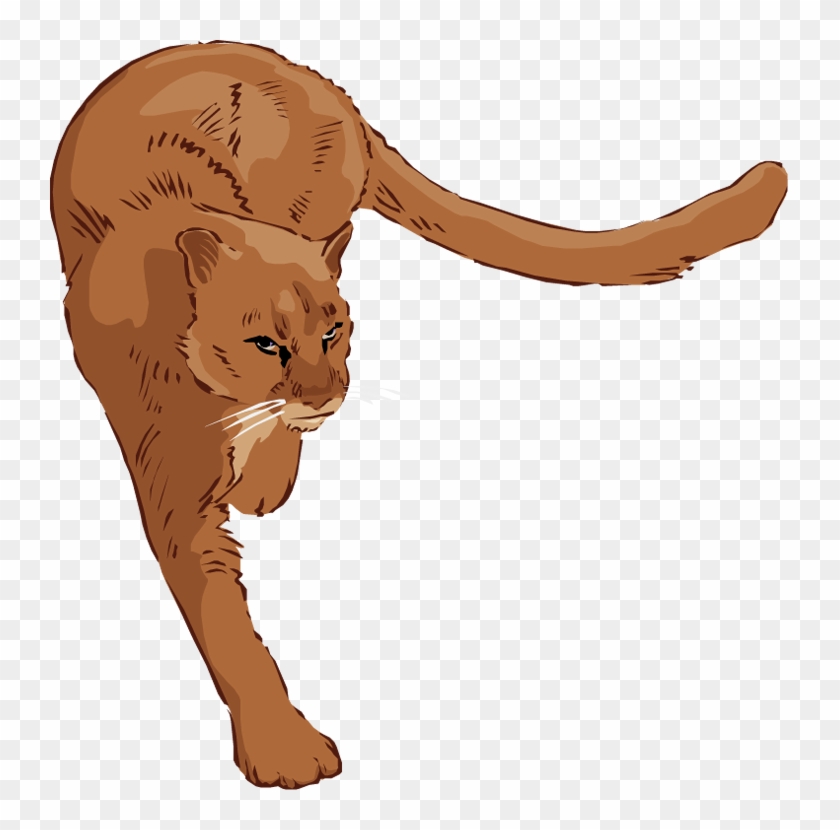 Free Lion Clipart - Clipart Cougar #16101