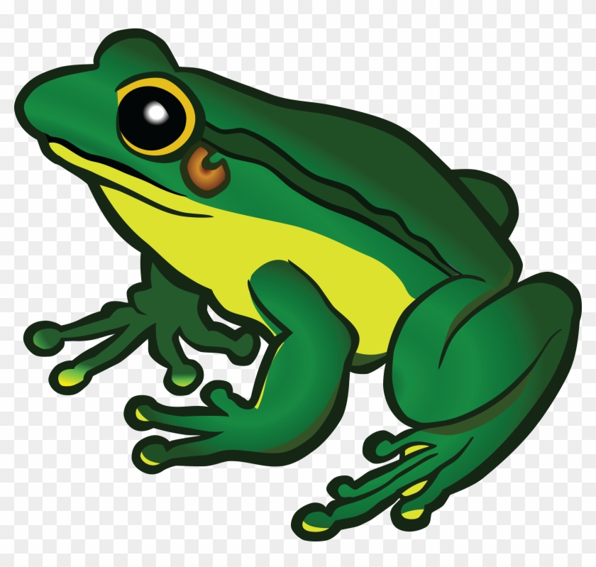 Clipart Of Frog Free A - Frog Png Clipart #16169