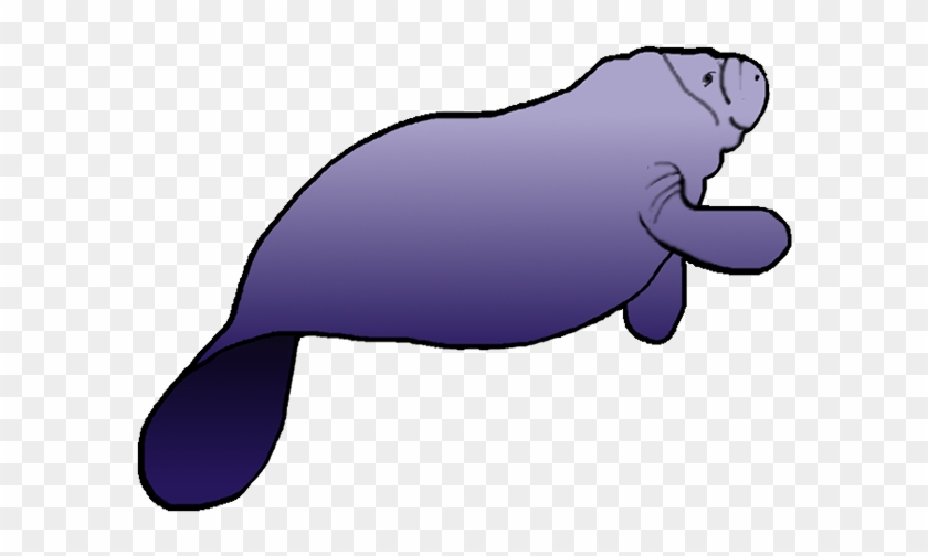 Manatee Clipart #16177