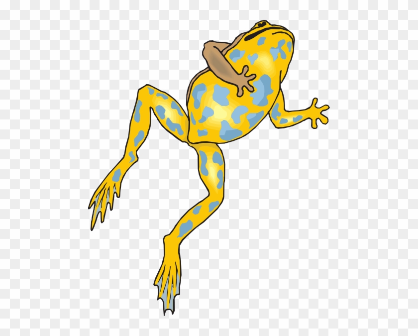 Frog Jumping Transparent Png #16350