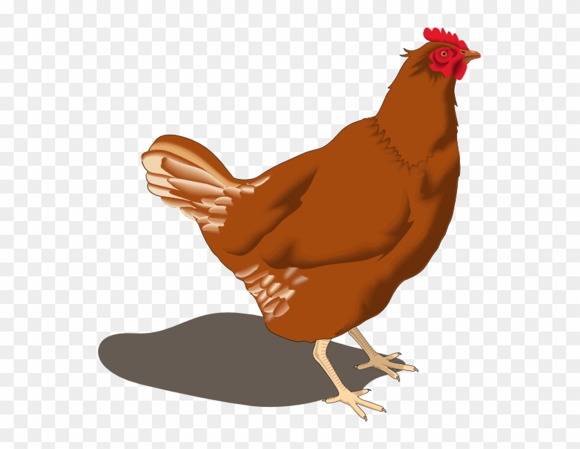 Clipart Info - Hen Clipart #16433