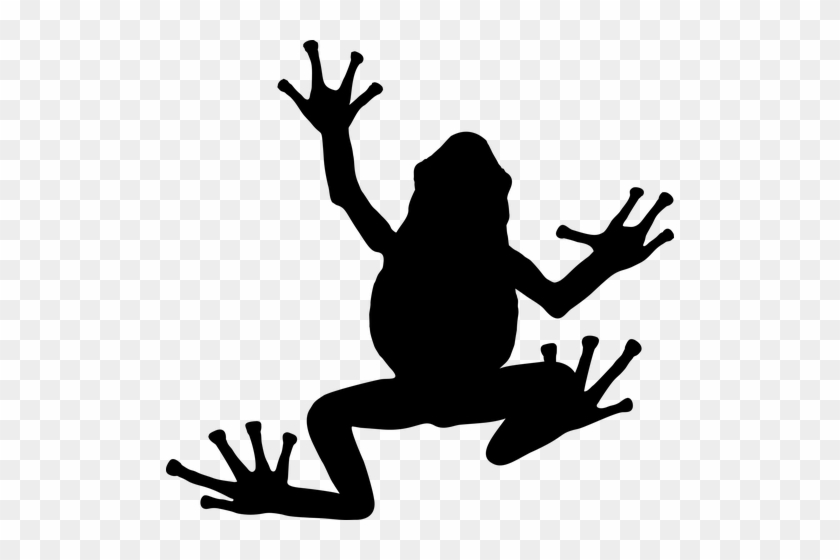 Toad Silhouettes Clipart Clip Art Ai Eps Svgs Jpgs - Silhouette Of A Frog #16447