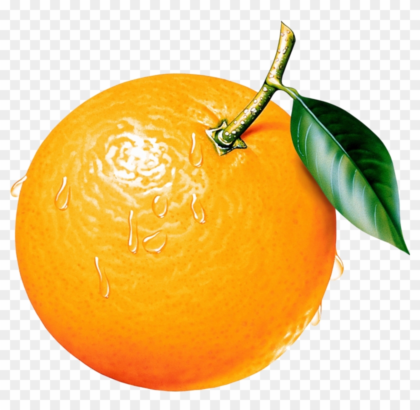 Best Orange Clip Art - Orange Png #16558