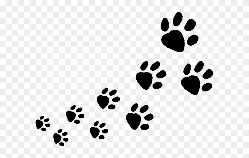 Dog Footprints Clipart #16617