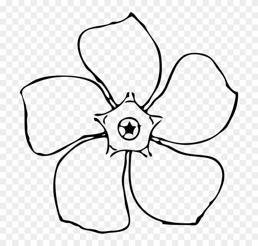 Outline Of A Flower #17049