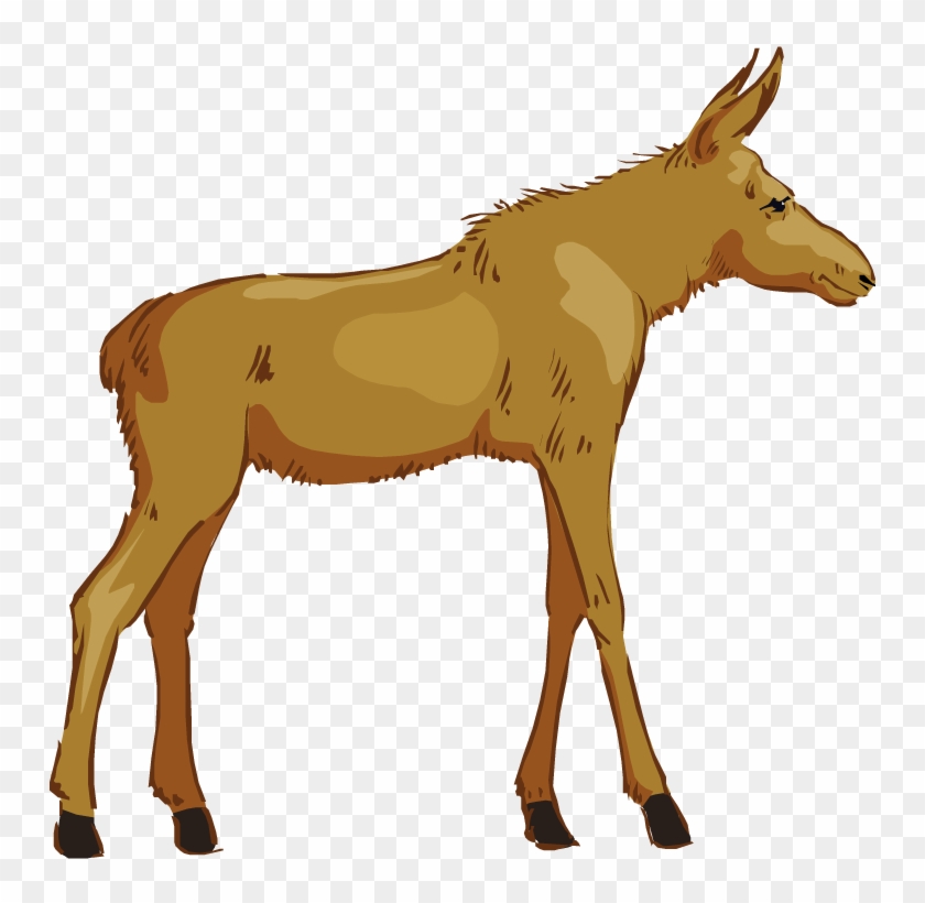 Free Moose Clipart - Clip Art #17060