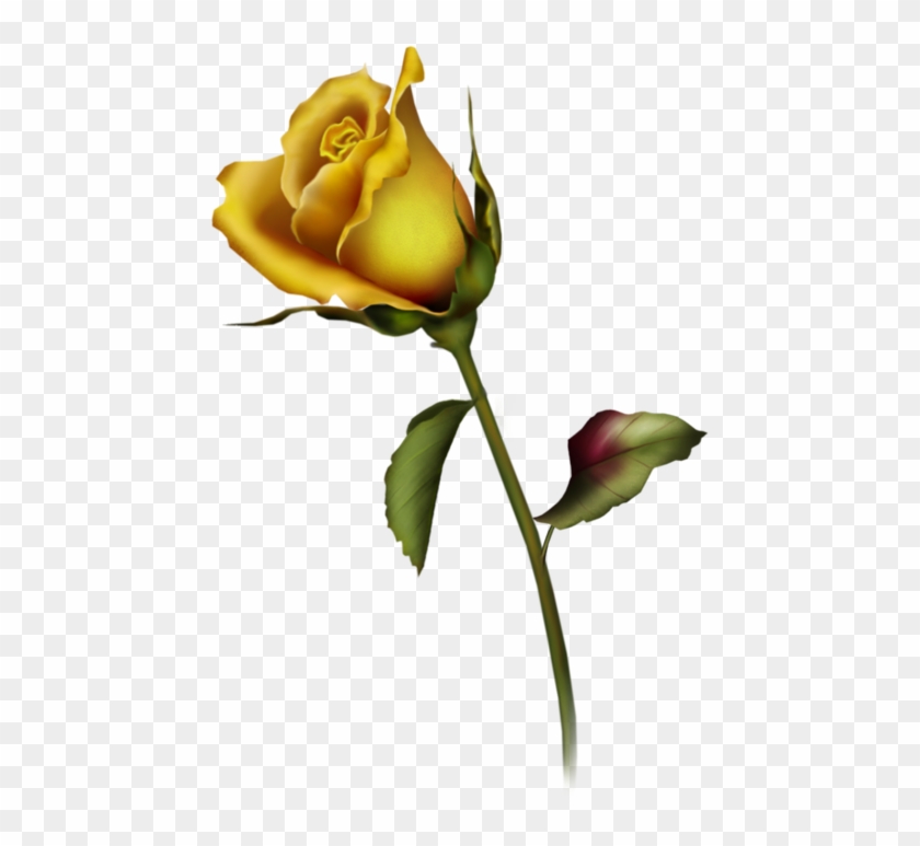 Yellow Rose Clipart Yellow Rose Bud Clip Art Gallery - Rose Buds Tattoo Design #17073