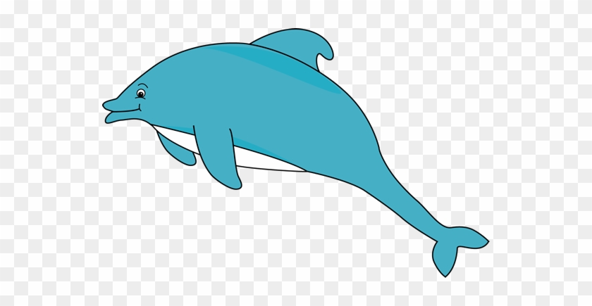 Dolphin - Dolphin Clipart Transparent Background #17151