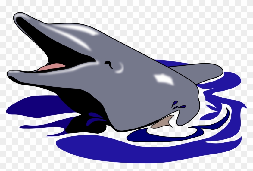 Common Bottlenose Dolphin Tucuxi Clip Art - Common Bottlenose Dolphin Tucuxi Clip Art #17248
