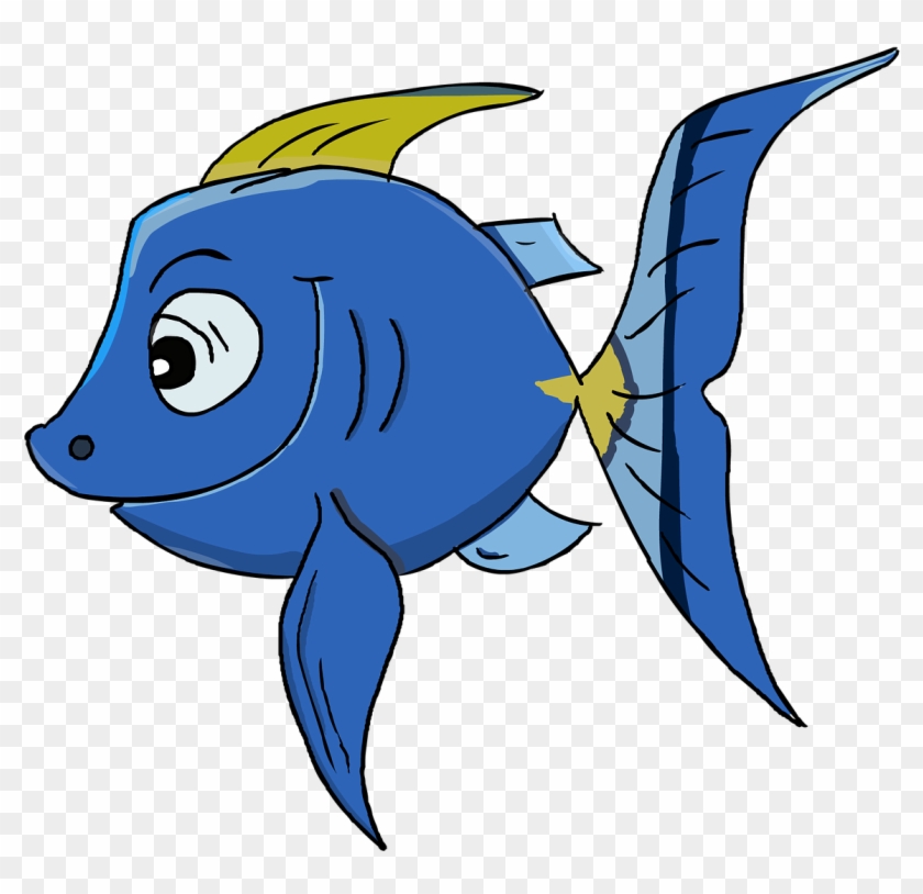 Fish, Parrot Fish, Cartoon, Blue, Good - Fish, Parrot Fish, Cartoon, Blue, Good #17316