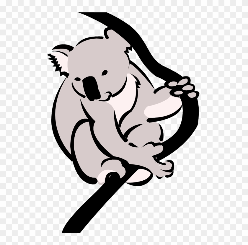 Download Png Image Report - Koala Clipart #17355