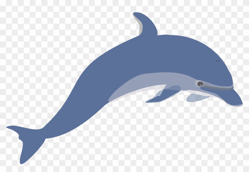 Free Dolphin Clipart Full Page Background Clipart Collection - Free Clipart Dolphin #17445