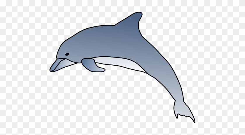 Bottlenose Dolphin Clipart Gallery Clip Art Library - Dolphin Illustration #17447