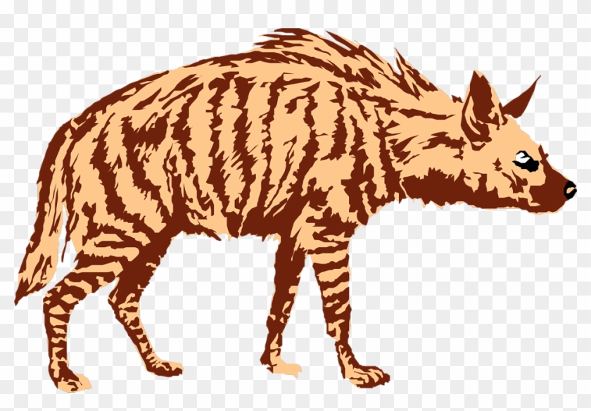 Download Png Image Report - Hyena Clipart No Background #17576