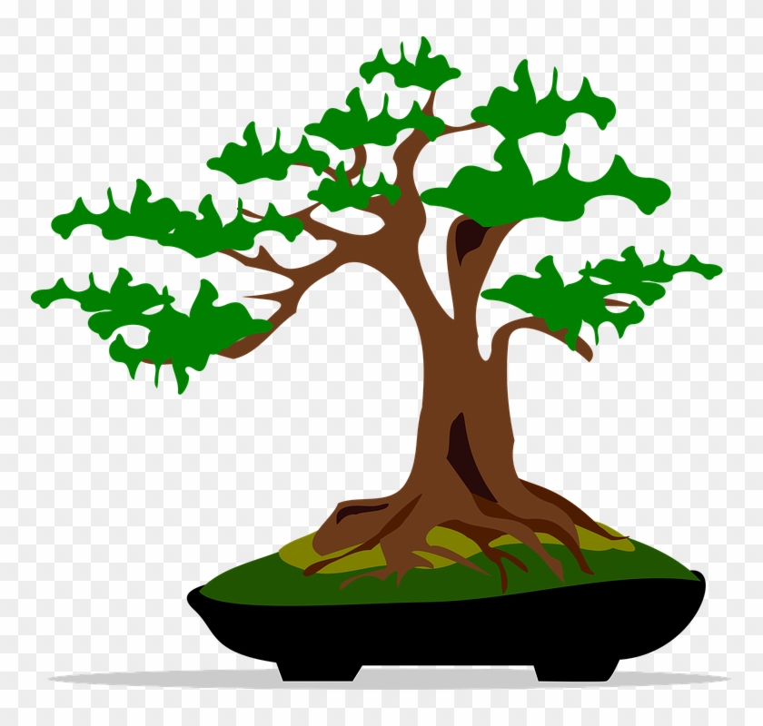 Bonsai Clip Art Flora Nature Plant Tree - Bonsai Clip Art #17617