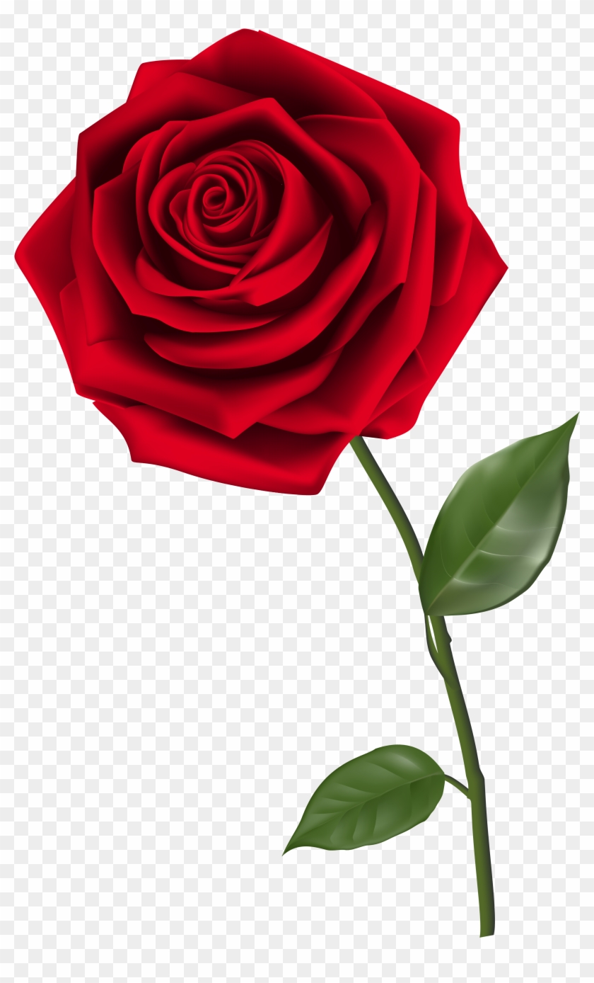 Clipart Homey Idea Rose Clipart Single Red Png Image - Red Rose Png #17635