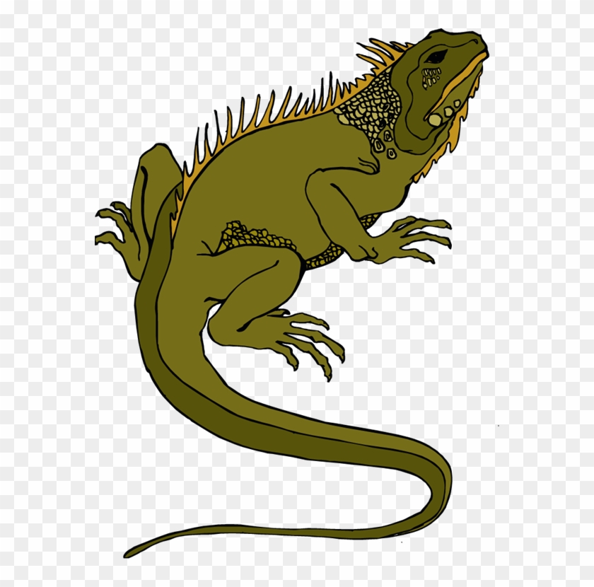 Download Lizard Png Transparent Images Transparent - Reptile Clip Art #17656