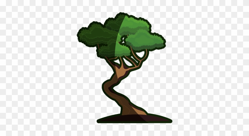 Cartoon Bonsai Tree - Bonsai Tree Cartoon #17657