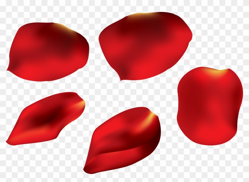 Rose Clipart Rose Petal - Red Rose Petals Png #17697