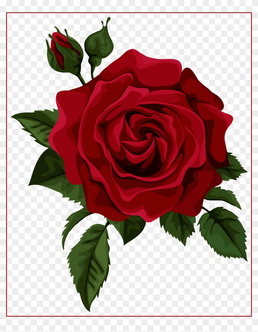 Beautiful Clipart Red Rose - Red Rose Vector #17774