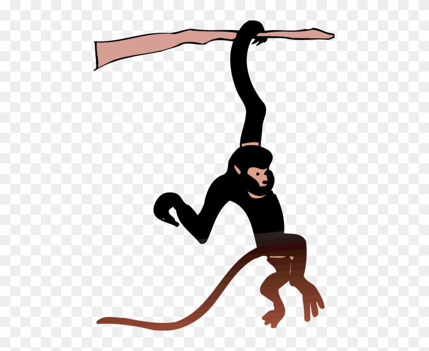 Salmon Clipart Endangered - Monkeys Hang Clipart #17767