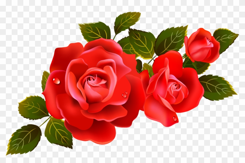 Clipart Marvellous Design Red Rose Clipart Large Roses - Transparent Background Roses Png #17814