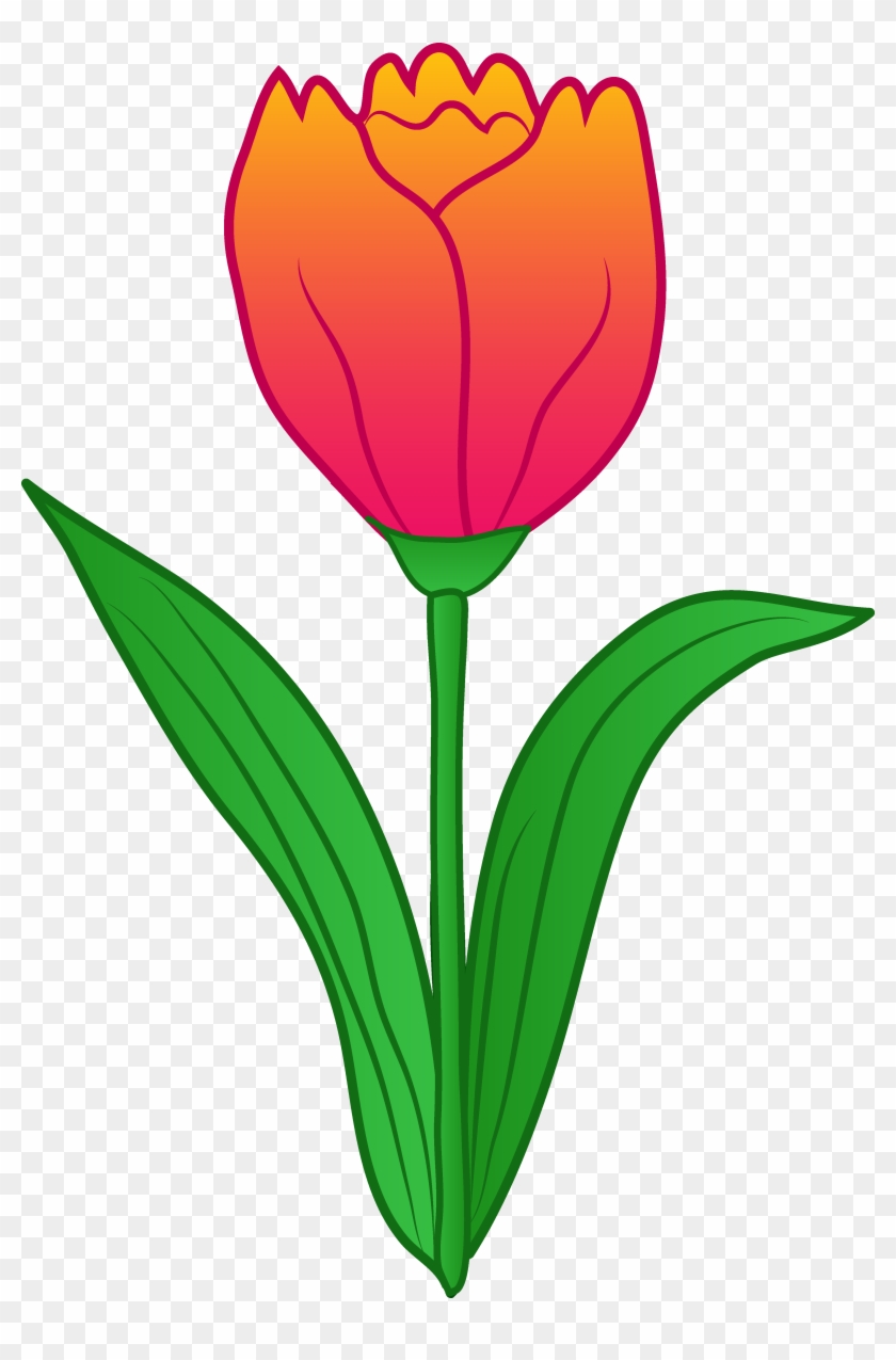 Rose Clipart Tulip - Tulip Flower Clipart #17829