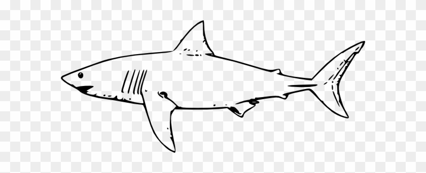 Shark Clipart Black And White #17873