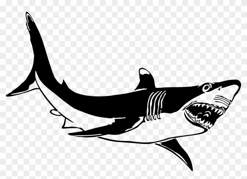 Clipart Info - Great White Shark Clip Art #17891