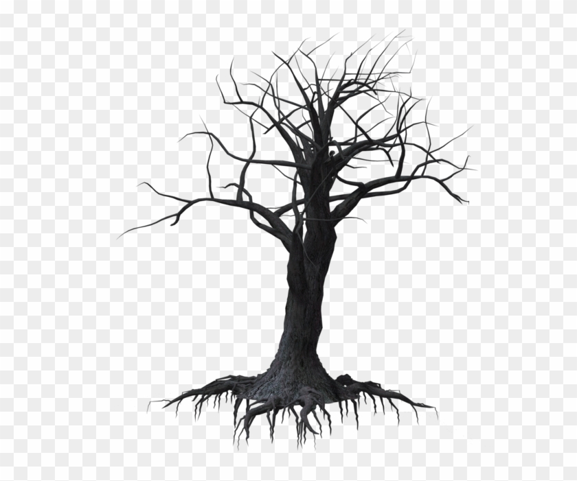 Creepy Tree 03 By Wolverine041269 On Clipart Library - Drawing #17900