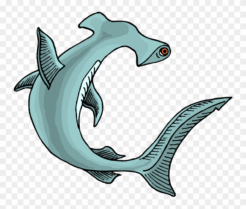 Shark Clipart - Hammerhead Shark Clipart #17908