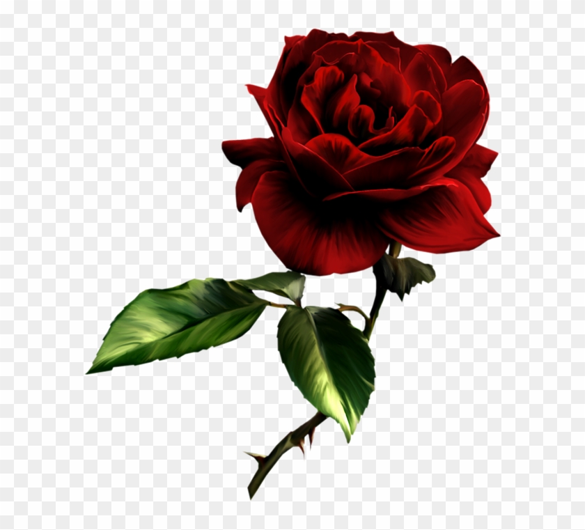 Painted Red Rose Clipart - Dark Red Rose Png #17921