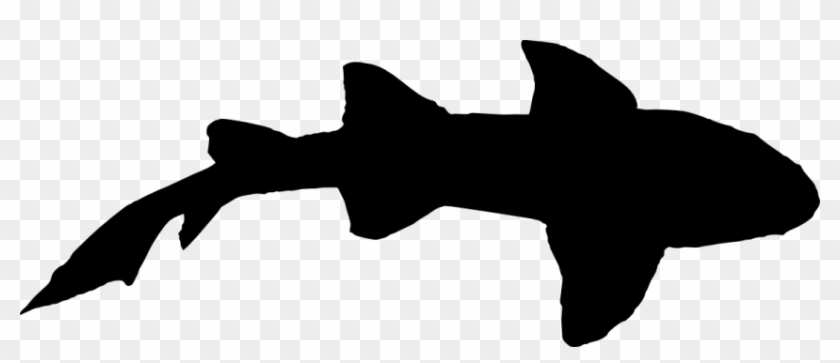 Shark Silhouette Png - Shark Silhouette #17956