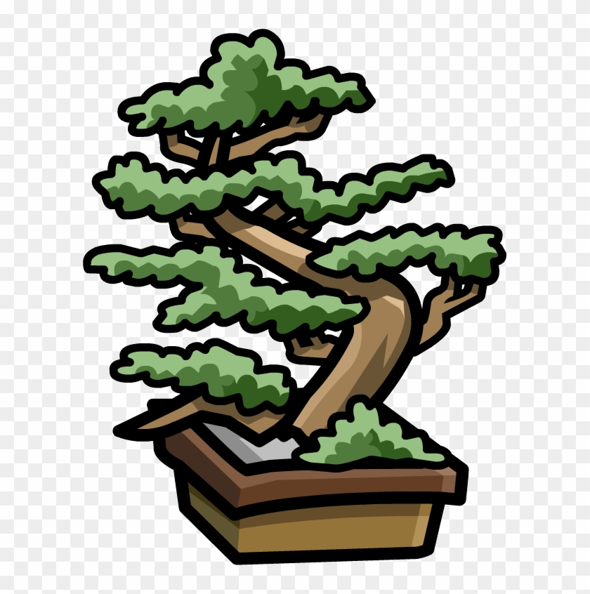 Dojo Bonsai Tree - Dojo Bonsai Tree #17969