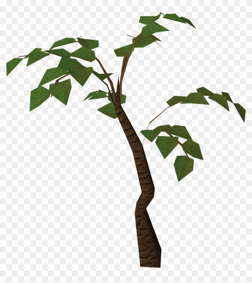 Simple Jungle Tree Clipart Cliparts - Jungle Trees Png #18019