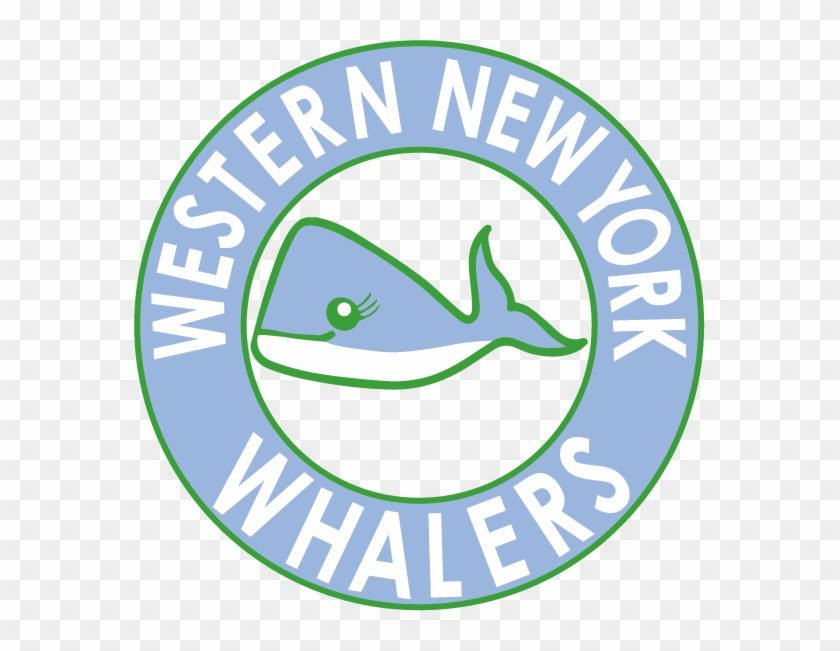 Wny Whalers Field Hockey - Western New England Athletics Logo #76972